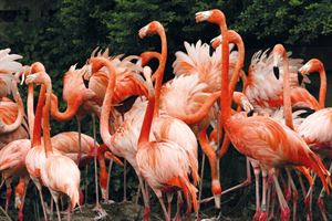 Llanelli Wetland Centre
