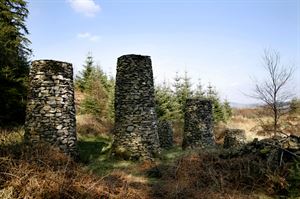 Grizedale Forest Grizedale Forest