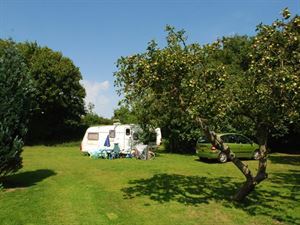 Hawthorn Farm