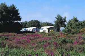 Kelling Heath