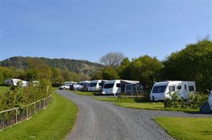 Hollins Farm