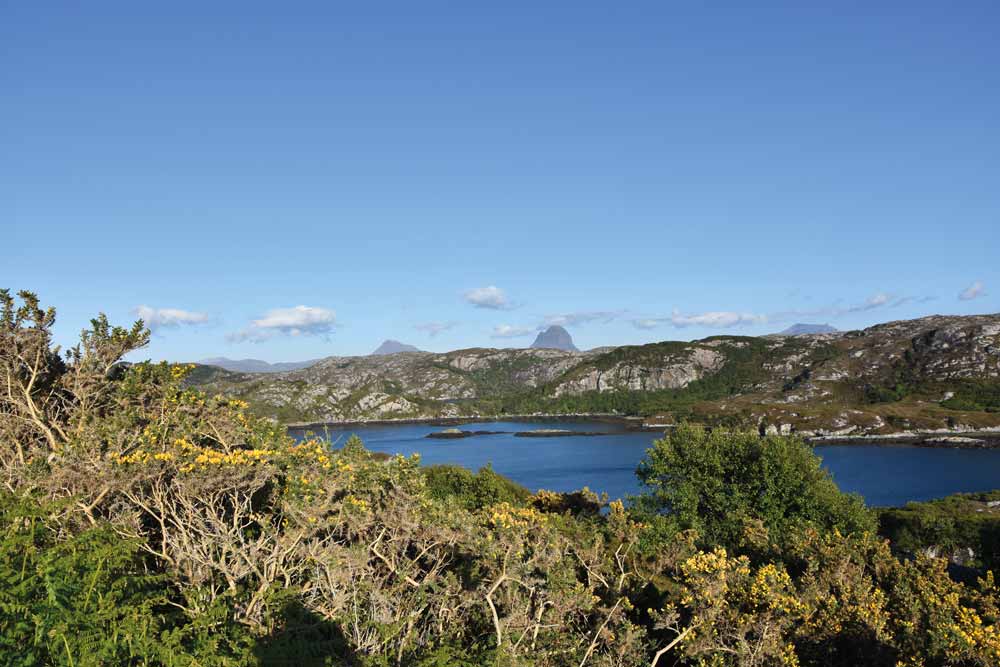 Assynt