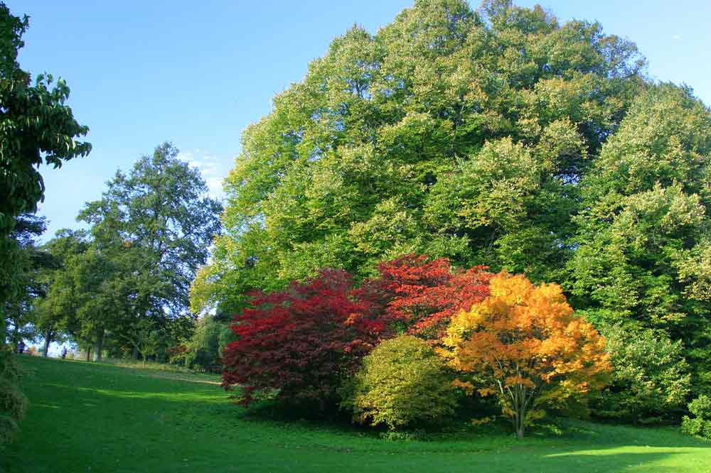 Batsford Aboretum