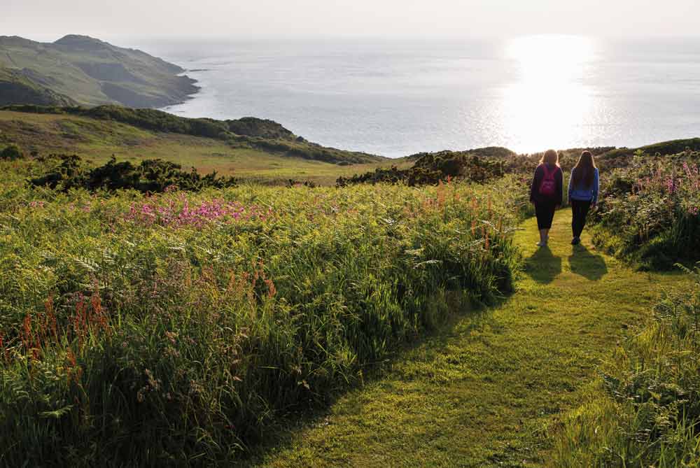 North Devon coastal path