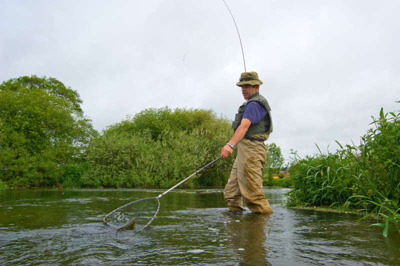 landing a trout