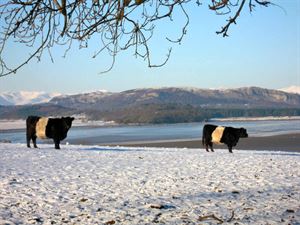 Fells in winter