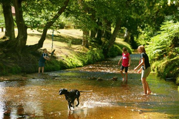 Dog friendly campsites Dog friendly campsites