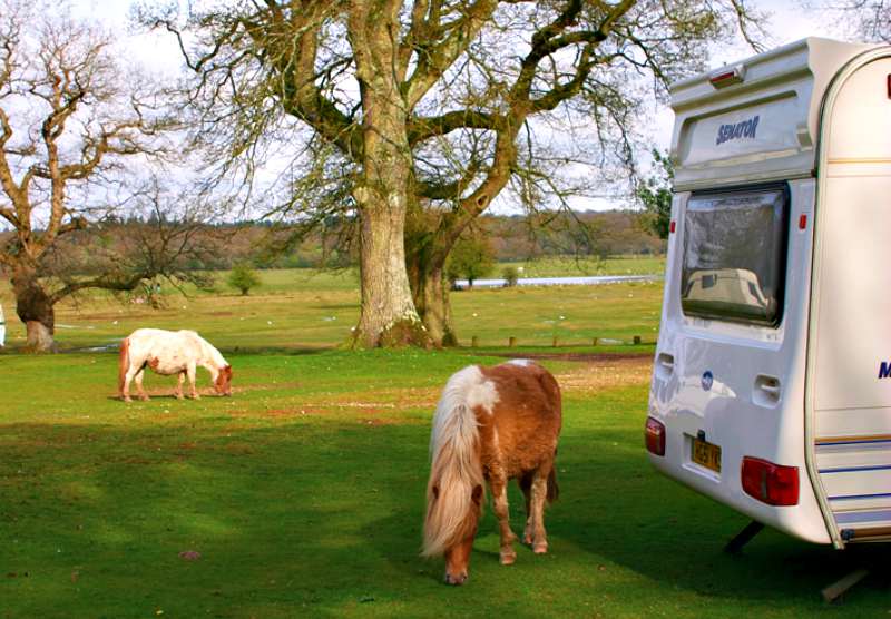 Hollands Woods campsite