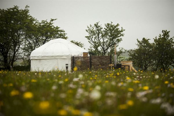 Yurt