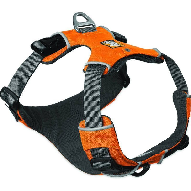 Ruffwear front range dog harness
