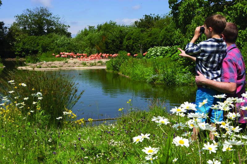 lake near tudor caravan park