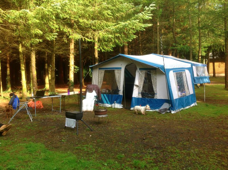 Ashbourne Woods
