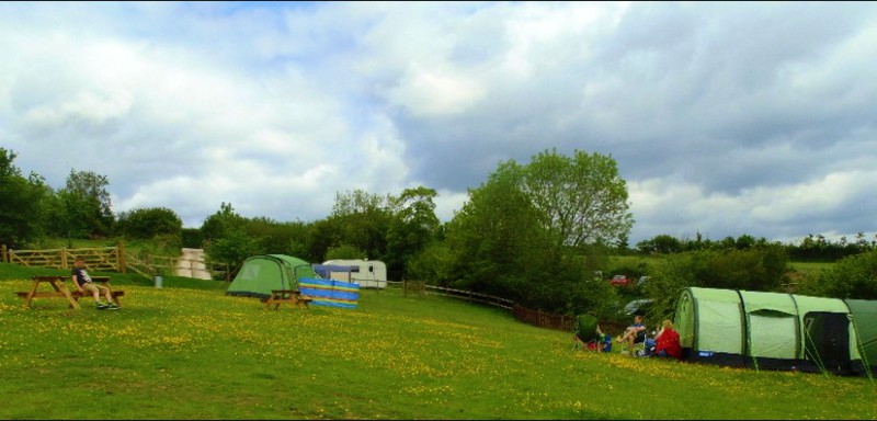 Haldon View
