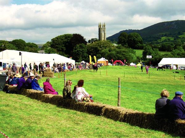 Widecombe Fair