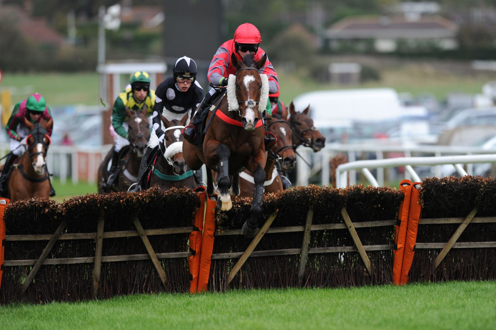 Haydock park racecourse