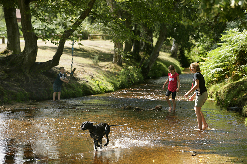 long meadow campsite