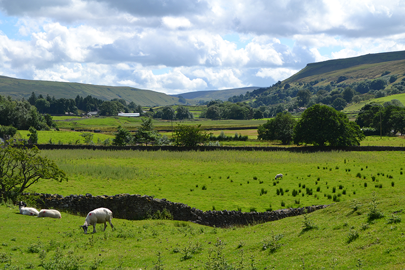 Yorkshire Dales
