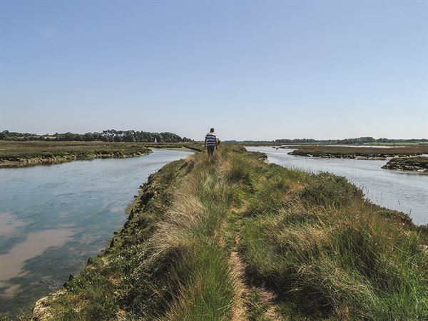 Salt marshes on the Deben near Waldringfield