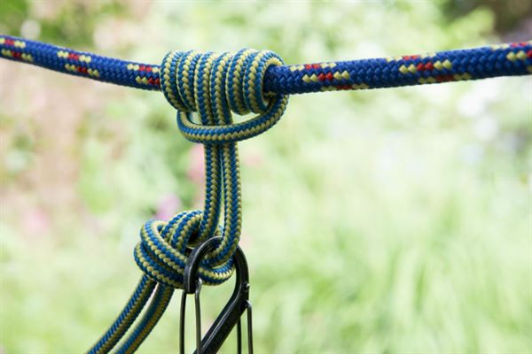 Knots
