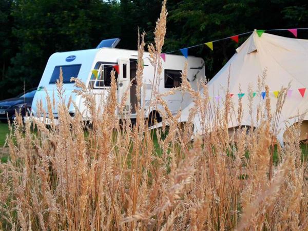 Caravelair Antares 485 for a festival