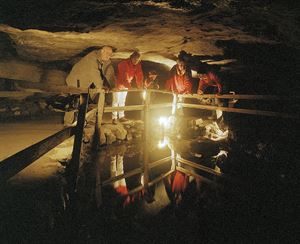 caverns caverns