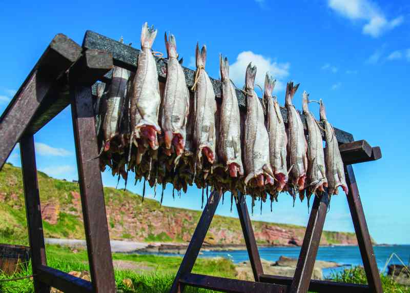 Arbroath Smokie