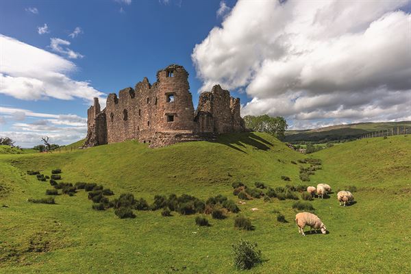 Motorhome travel: Cumbrian wildlife