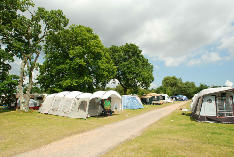 Shamba holidays