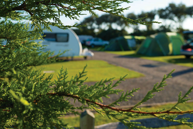 Warner farm touring park