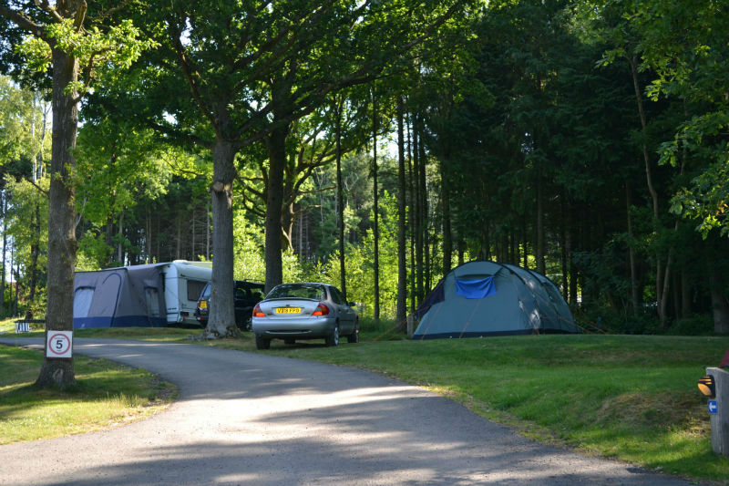 Whitefield forest touring park