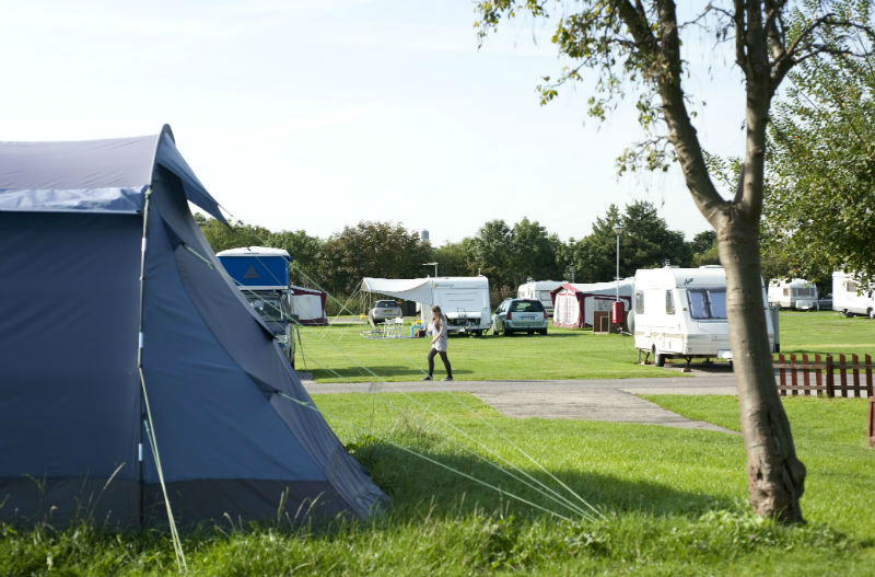 Hawthorn farm