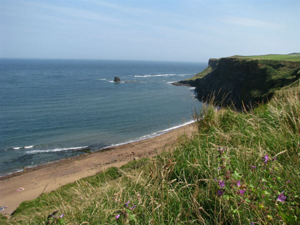 Yorkshire Yorkshire