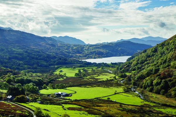 nant cynydd