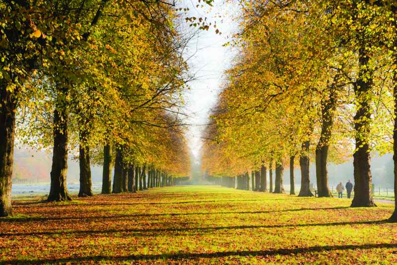marbury country park