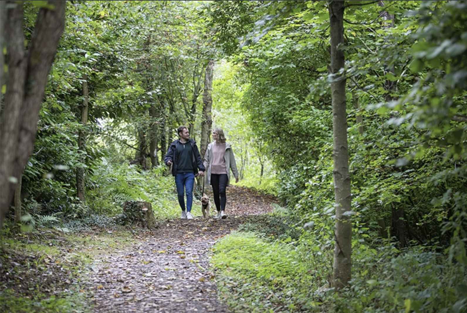 Plassey Holiday Park Plassey Holiday Park