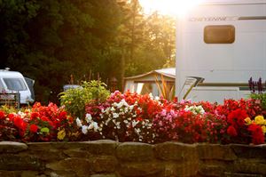 Erwlon (photo courtesy of Erwlon Caravan & Camping Park) Erwlon (photo courtesy of Erwlon Caravan & Camping Park)