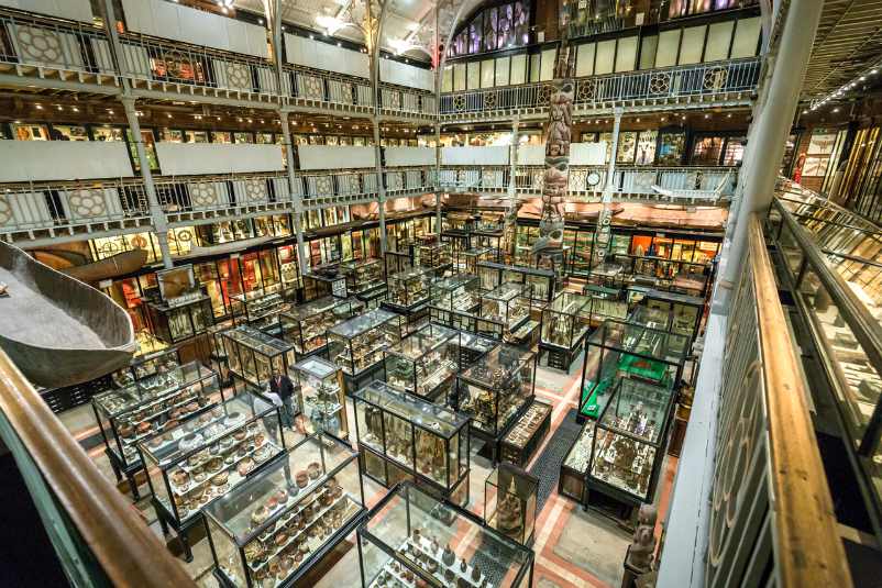 Pitt Rivers Museum, Oxford