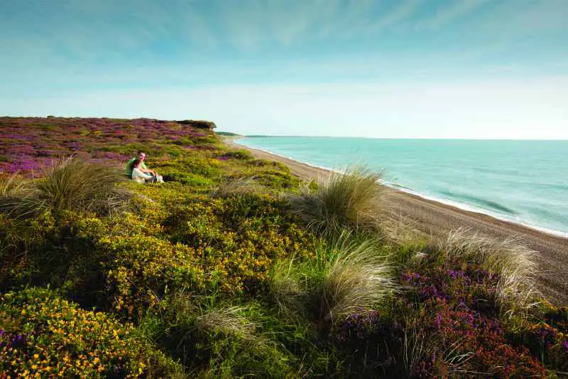 Dunwich Heath