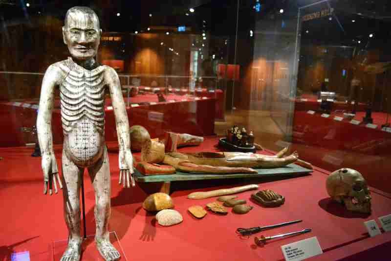 The Wellcome Collection, London