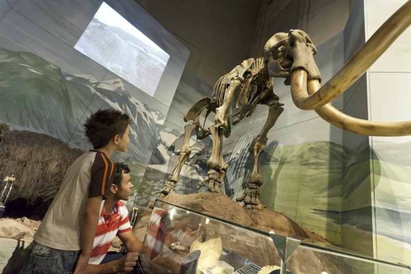 The National Museum of Cardiff
