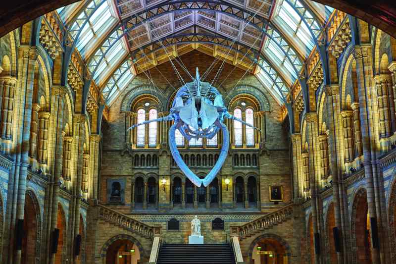 Natural History Museum