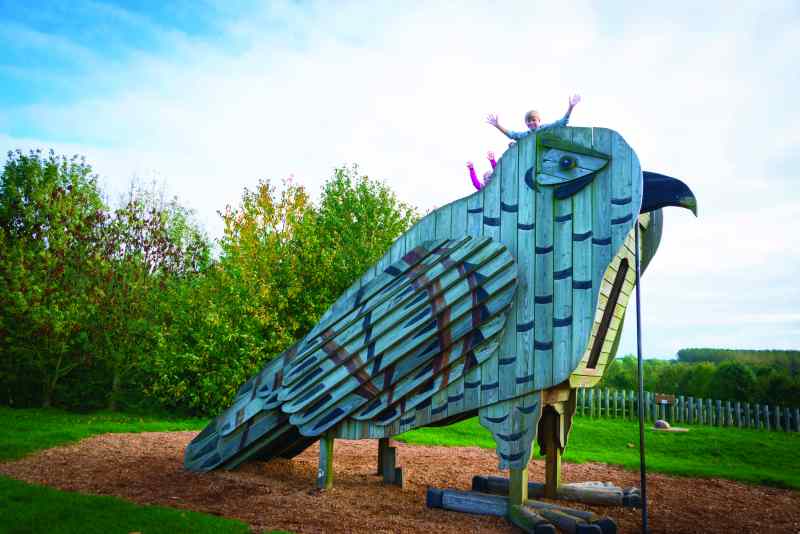 Rosliston Forestry Centre