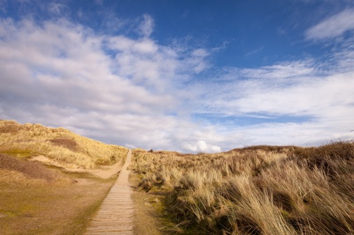 Lobb Fields