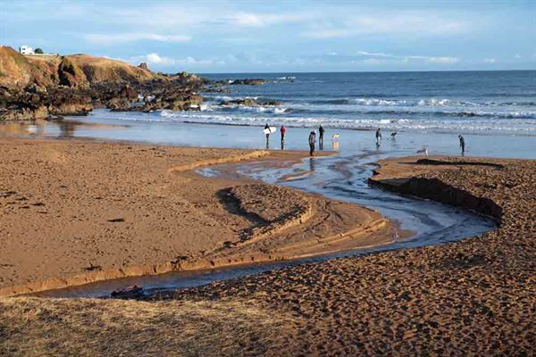 Coldingham Bay beach in December