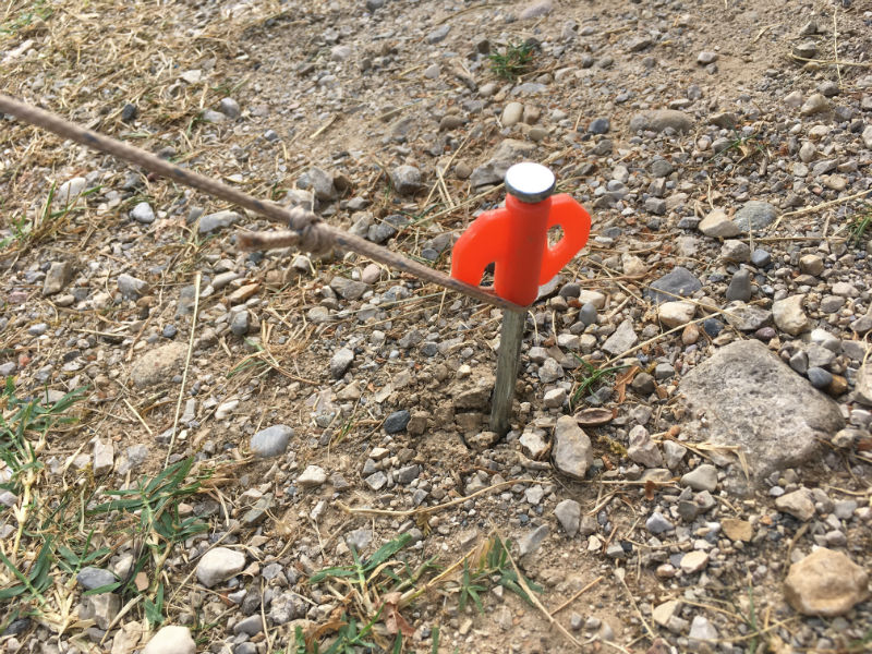 Use strong pegs for camping in Europe