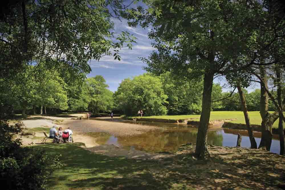 Back of Beyond Touring and Camping Park in Dorset