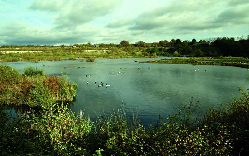 College Lake, Buckinghamshire