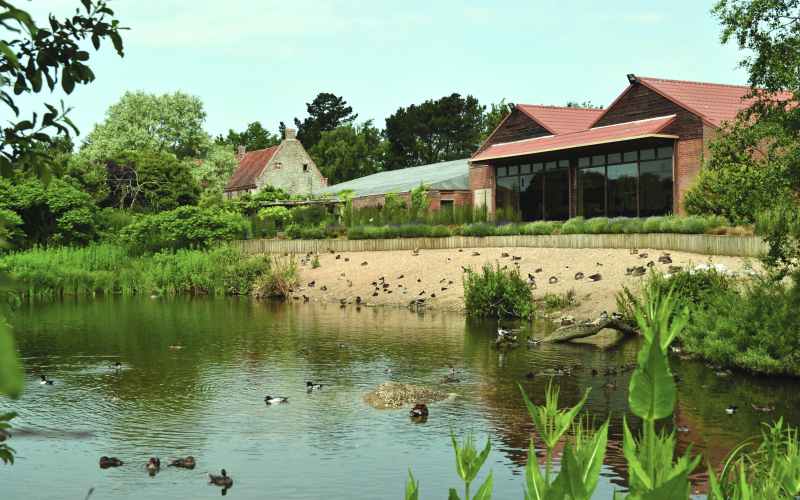 Pensthorpe Nature Reserve, Norfolk