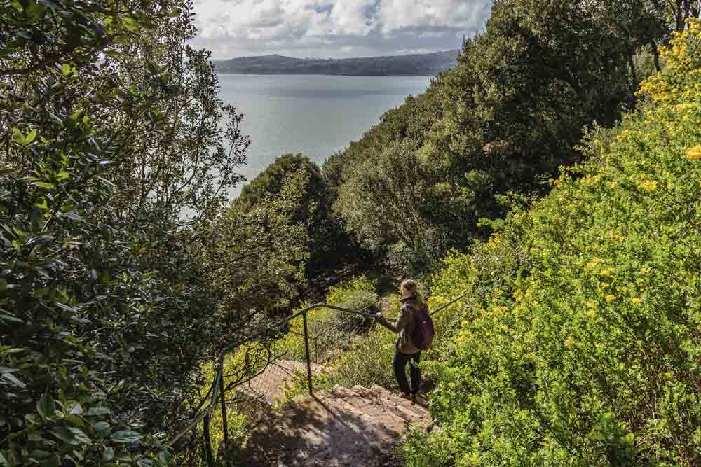 Image of a woman walking through woodland gardens in Torquay