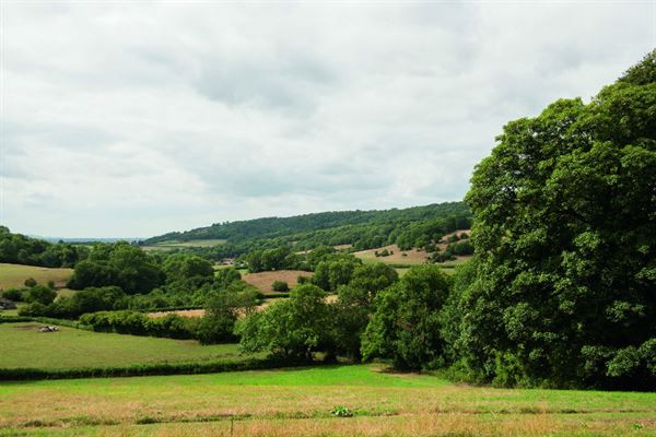 Somerset